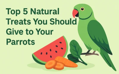 Top 5 Natural & Tasty Parrot Treats You Should Know – What to Give, What to Avoid & How to Use Them Right