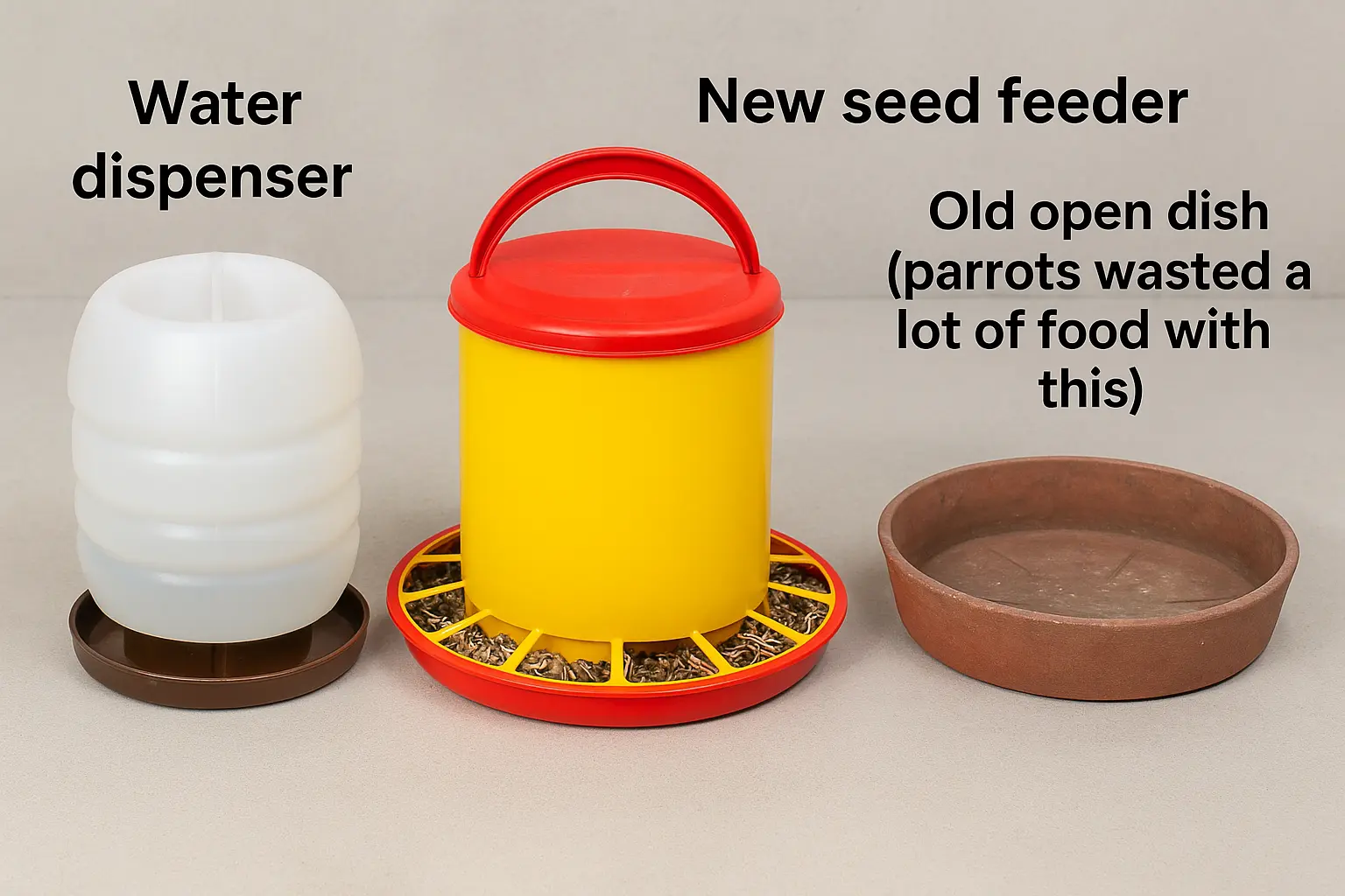 Parrot food feeders comparison - old open dish vs covered feeders