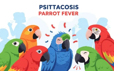 Psittacosis (Parrot Fever): Symptoms, Diagnosis, and Treatment